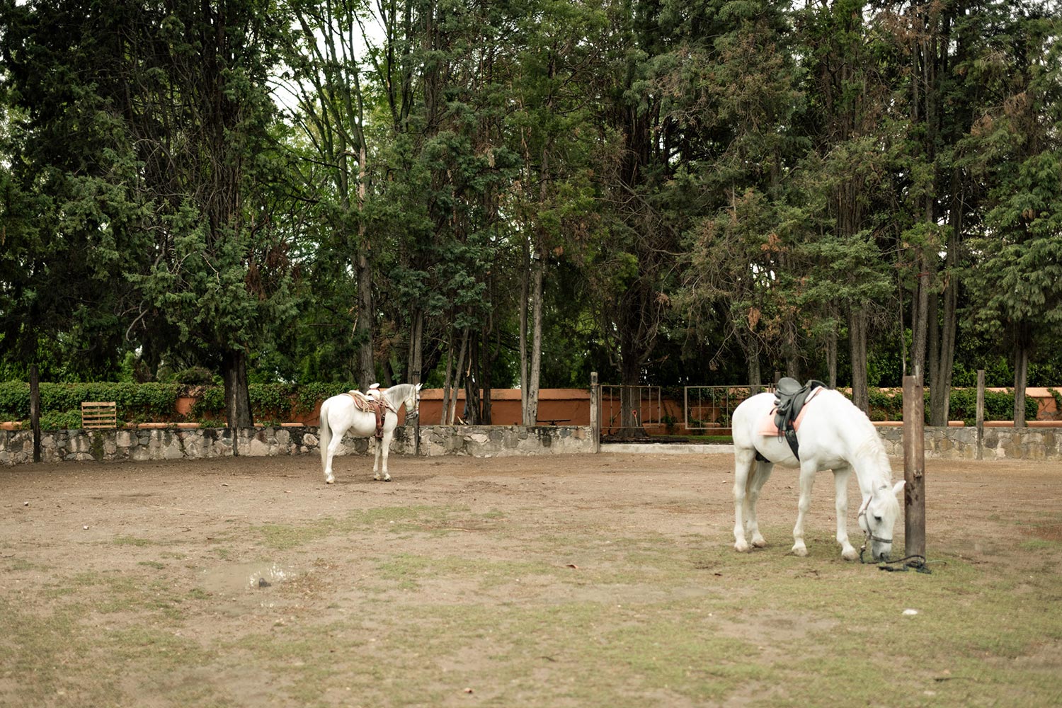 Hacienda Jofre